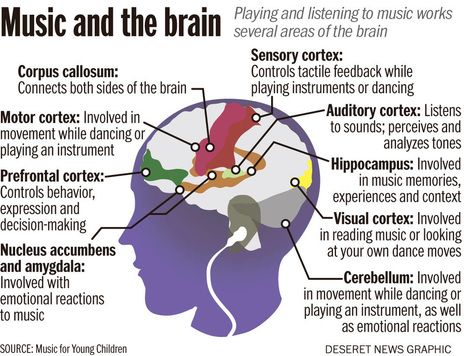 Informational depiction on how music interacts with the parts of the brain.